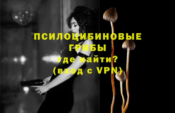 винт Осташков