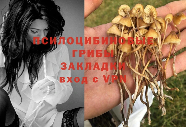 мдма Осинники