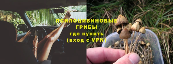 PSILOCYBIN Нягань