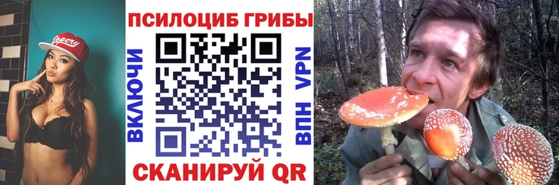 Псилоцибиновые грибы Magic Shrooms  блэк спрут ONION  Татарск  где купить  