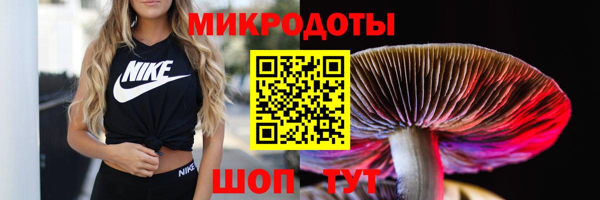Псилоцибиновые грибы мухоморы Татарск